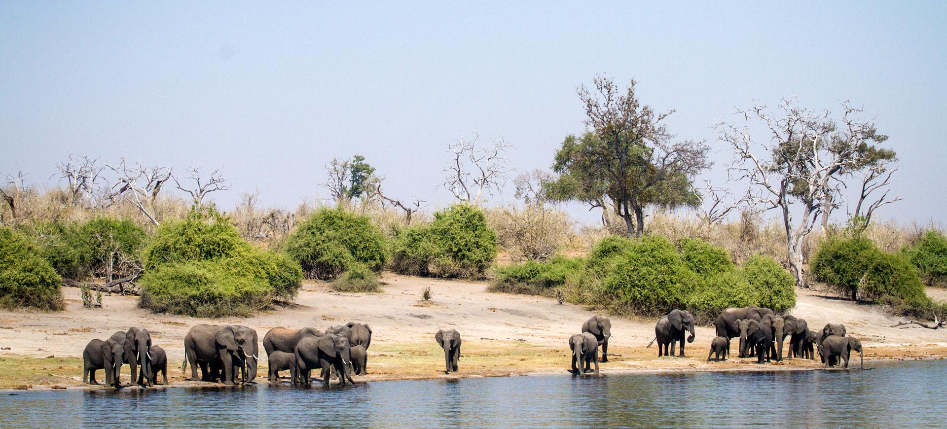 Chobe-Day-Tours