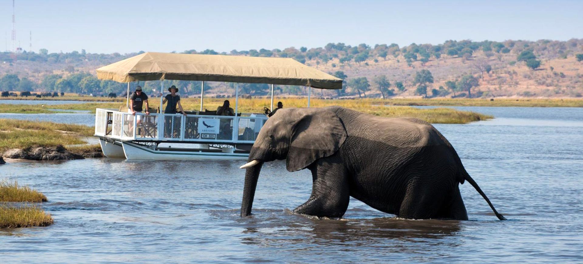 Chobe-River-Cruise-Safari