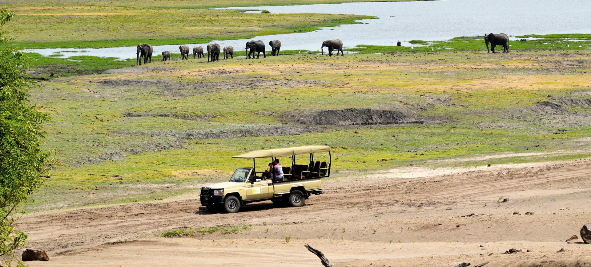 Game-Drive-Chobe-Park