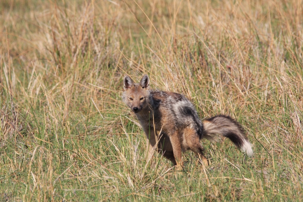 WhatsApp-Image-2024-07-11-at-11.09.31-1-1030x686