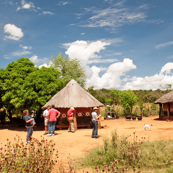 activity-synopsis-885-by-828-60-qnm3jczo8g5npm8ugftqoe42wos1kab6prk2ysp2ls